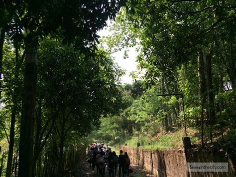 things to do in norzagaray